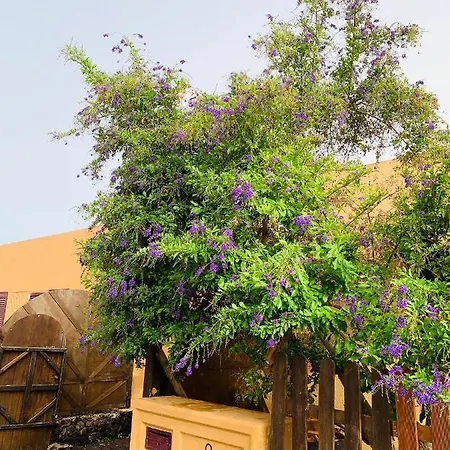 Casa Natalia Villa Corralejo
