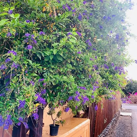 Casa Natalia Villa Corralejo